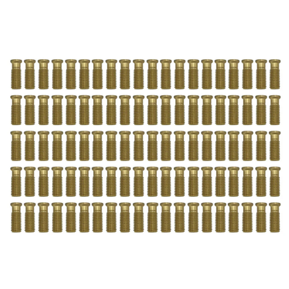 Poolzilla 1-1/2" Extended Brass Screw for Pool Cover Anchor