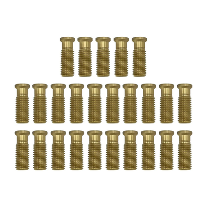 Poolzilla 1-1/2" Extended Brass Screw for Pool Cover Anchor