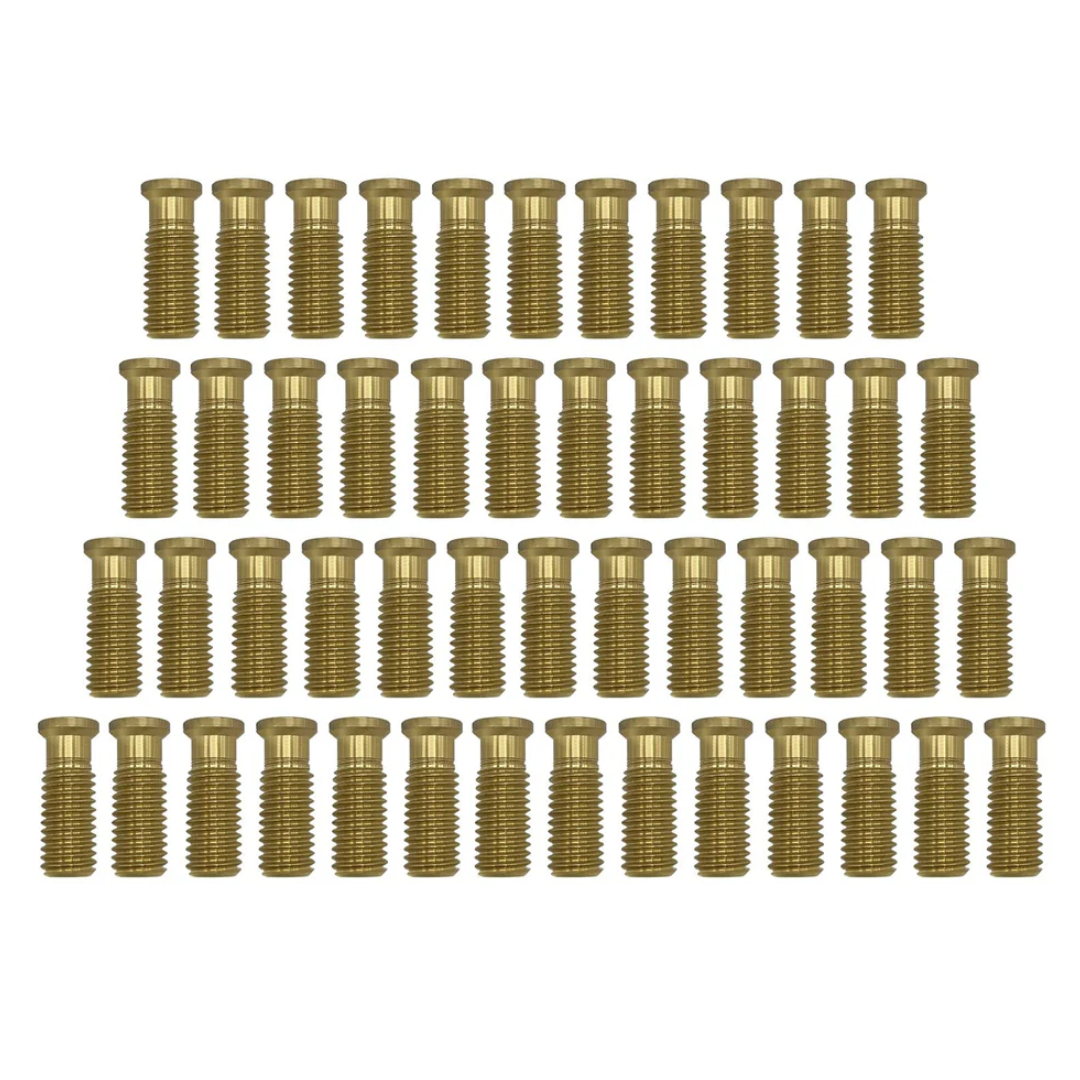 Poolzilla 1-1/2" Extended Brass Screw for Pool Cover Anchor