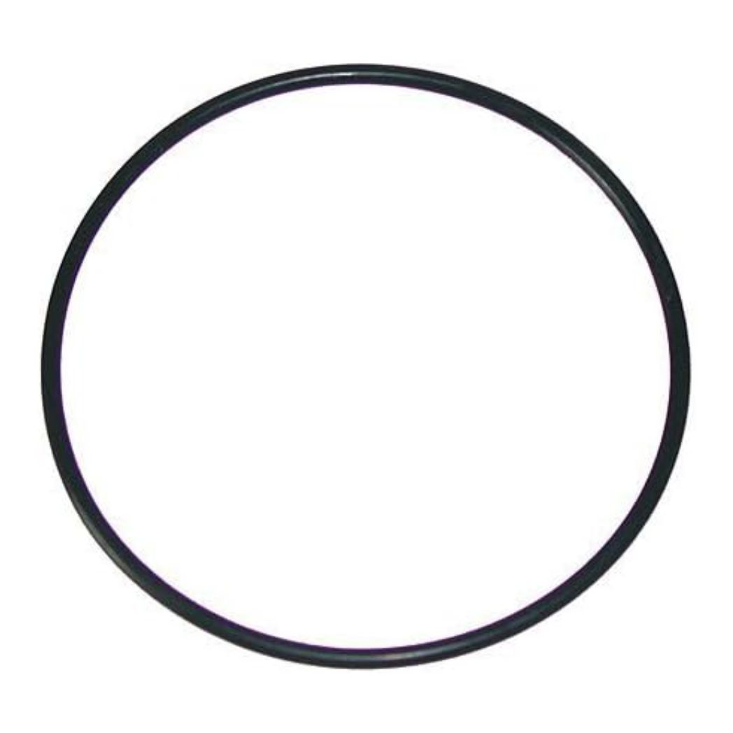 Waterway 805-0436 O-Ring for 6" Trap Lid