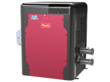 Raypak P-R404A-EP-C Low NOx Avia Propane Gas Heater | 399K BTU | 18039