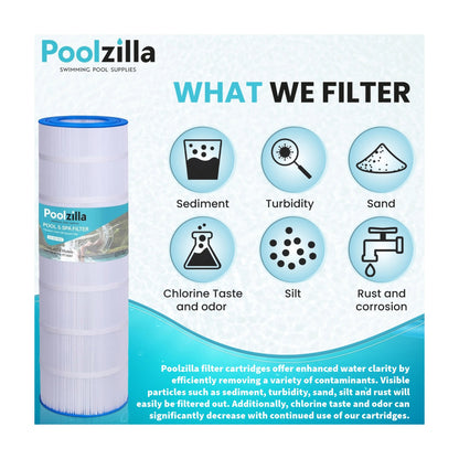 Pool Filter Cartridge for CC150 - Replaces Pentair R173216, Predator 150