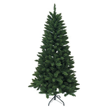 Kurt S. Adler 6' Un-Lit Point Pine Tree