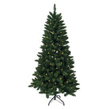 Kurt S. Adler 6' Pre-Lit Clear Incandescent Point Pine Tree