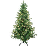 Kurt S. Adler 5' Pre-Lit Clear Incandescent Jackson Pine Tree