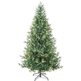 Kurt S. Adler 6' Pre-Lit Warm White LED Jackson Pine Tree
