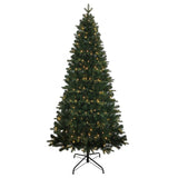Kurt S. Adler 7' Pre-Lit Warm White LED Studio Spruce Tree
