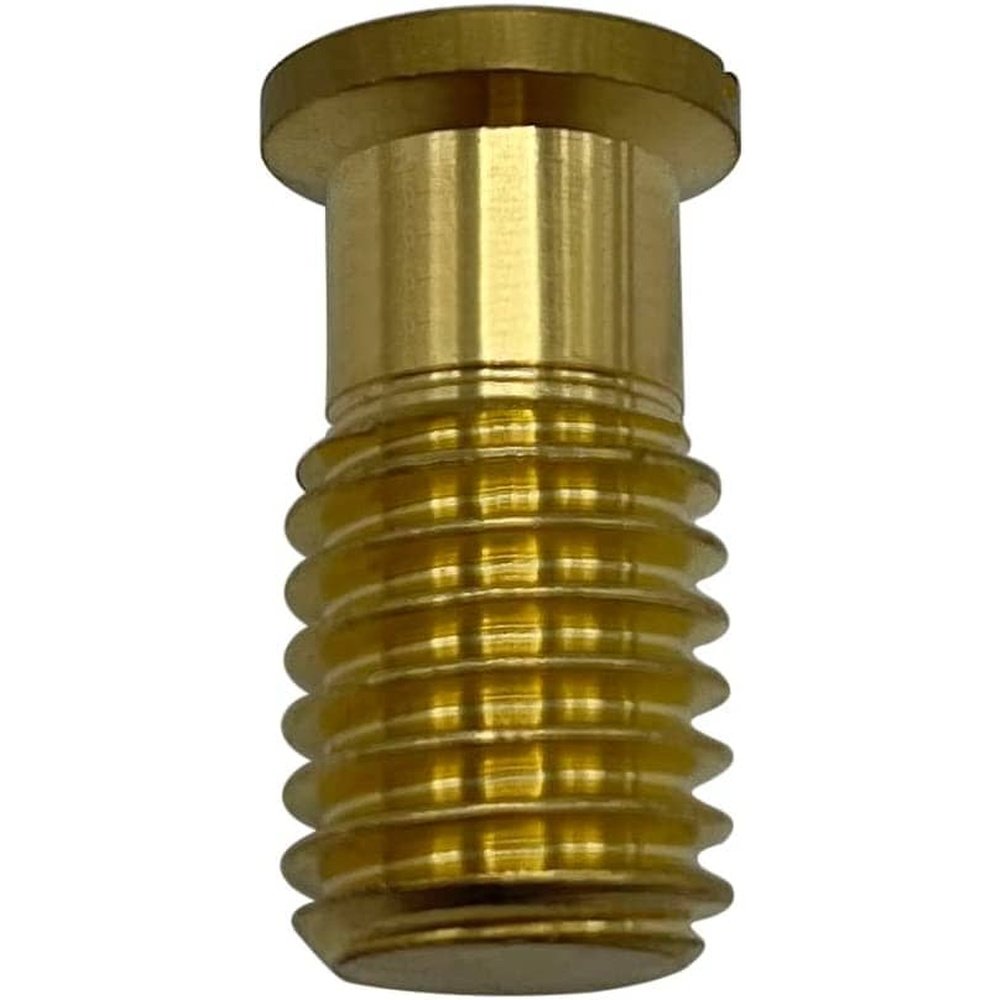 Poolzilla Threaded Brass Screw for Anchor