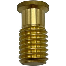 Load image into Gallery viewer, Poolzila 1-1/2&quot; Extended Brass XL Screw for Anchor